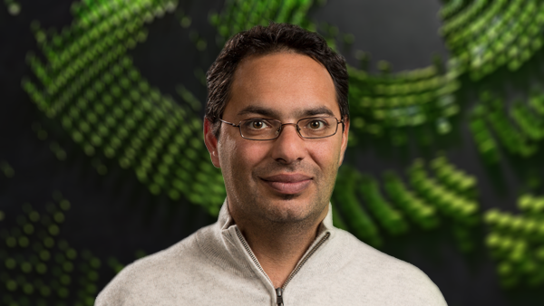 Ali_Kani